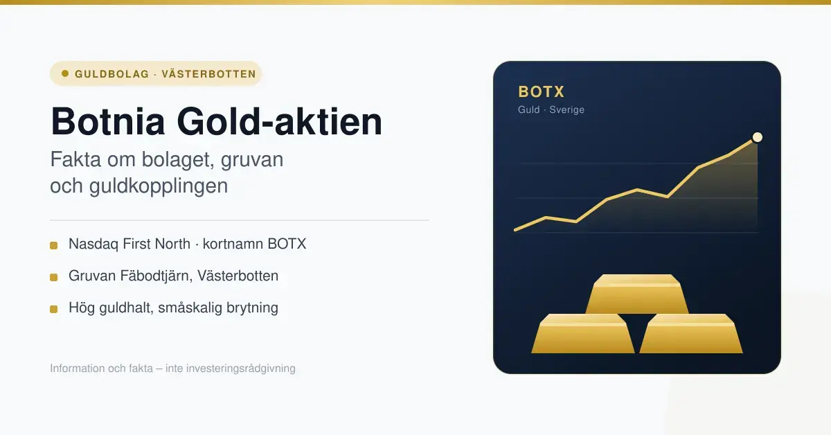 Grafik om Botnia Gold-aktien med rubriken "Botnia Gold-aktien", faktapunkter om Nasdaq First North (BOTX) och gruvan Fäbodtjärn i Västerbotten, samt en stigande kursgraf och guldtackor.